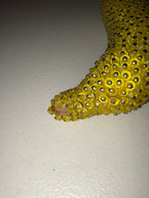 Load image into Gallery viewer, 1960 Plastic Bead & Pin Faux Fruit/Metal Bead Basket/ Kitchen/Handmade 9pc SET