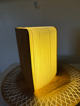 Load image into Gallery viewer, Lumio Lito Mini Book light & lamp & cable excellent condition.