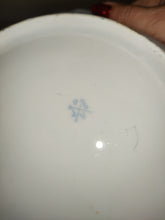 Load image into Gallery viewer, Beautiful Antique Hand Painted Porcelain Fruit Bowl