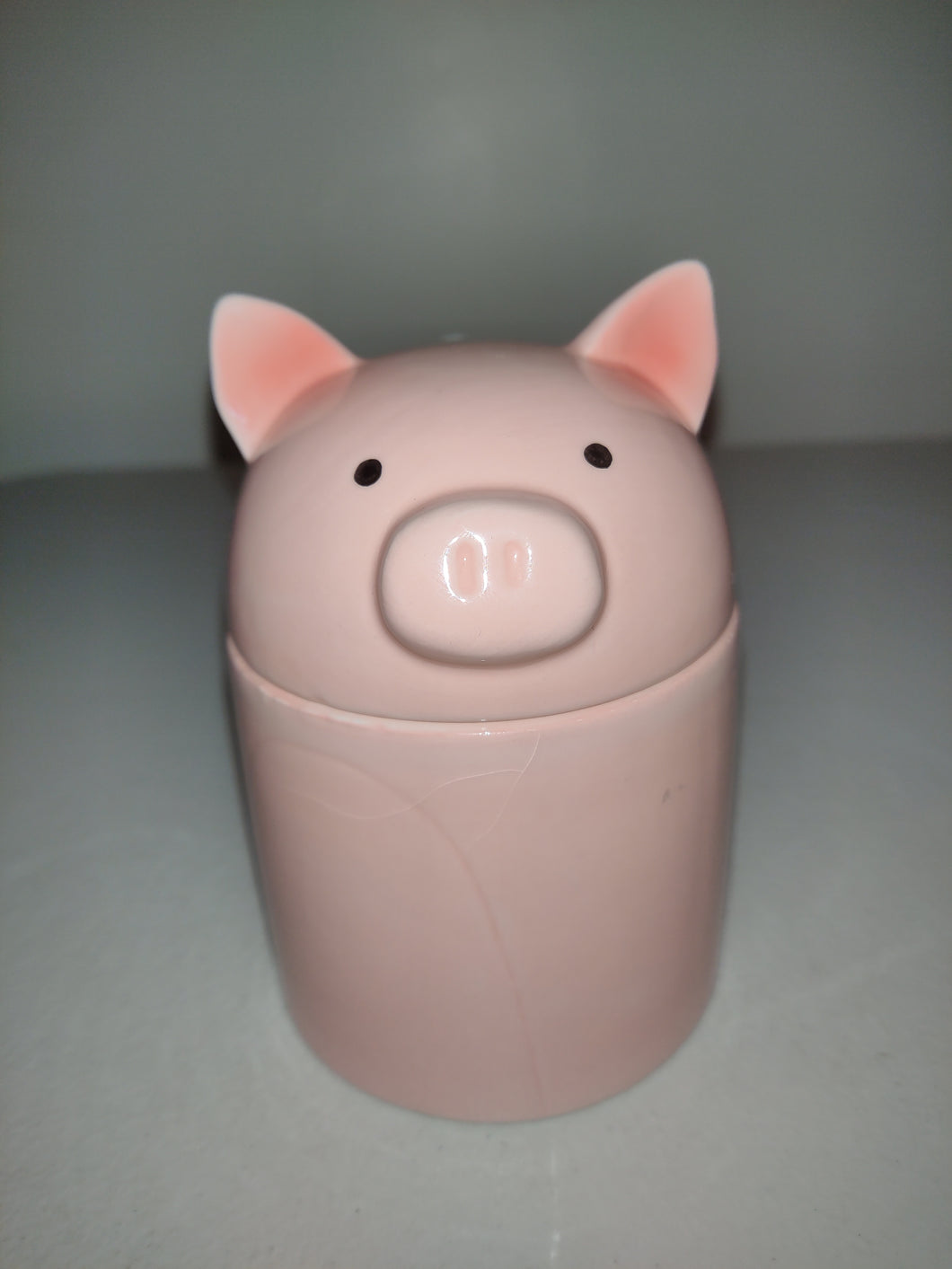 Piggy Jam/Jelly Jar