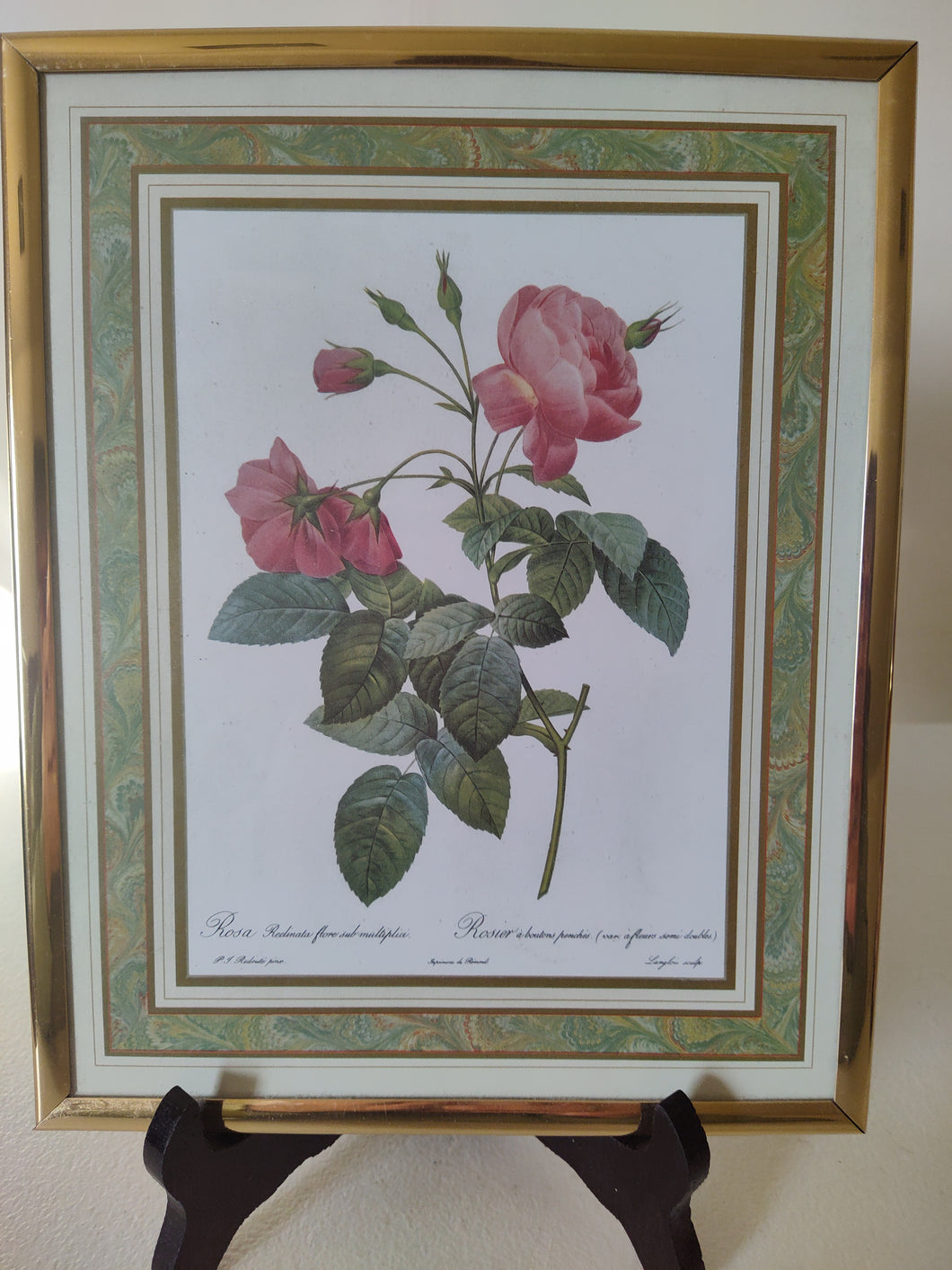 Pierre Joseph Redouté, Large French Botanical Framed Rose Print.