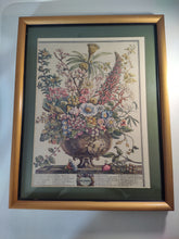 Load image into Gallery viewer, Vintage December Robert Furber Framed Matted Botanical Print H Fletcher Engraver
