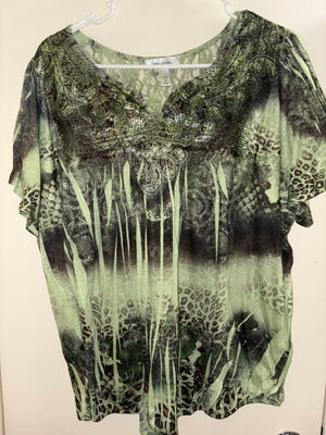 Descriptive image text